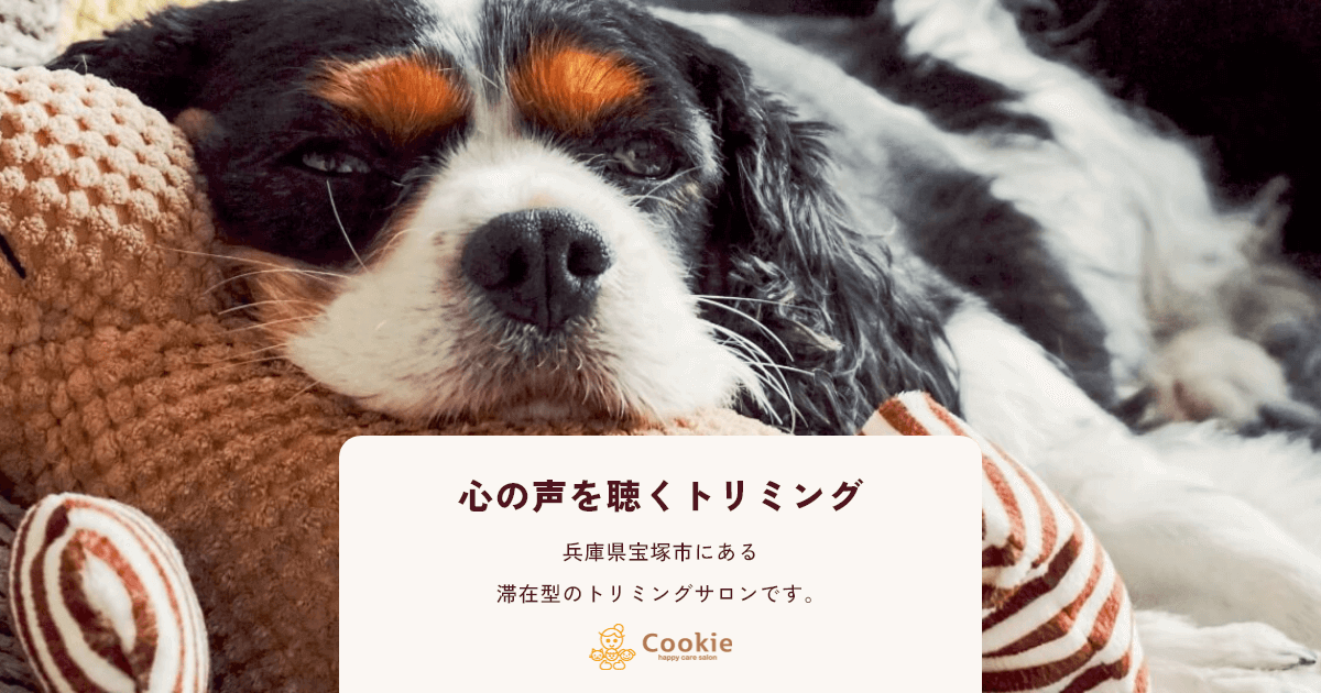ハッピーケアサロンクッキー